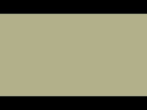 12 Hours of Earthy Olive Calm | Ambient Loop in #B2AC88