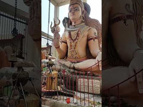 Ambika Bhawani Temple Aami#mahadev #status#trending #bihar