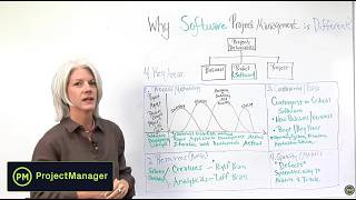 Software Project Management - Why it's Different!