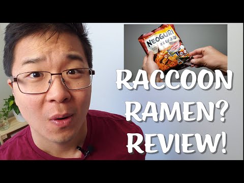 Raccoon Ramen Review (Neoguri) | Johnny Row Cooks