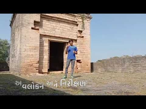 Eco Club Shibir -  અવલોકન અને નિરીક્ષણ