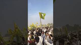 Why did we celebrate the foundation day of RLP party with joy like a festival in the evening?