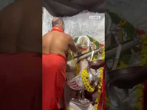 Live Darshan | Sri Manchalamma Mantralayam Grama Devata | Sri Rayaru | vishnu shiva datta