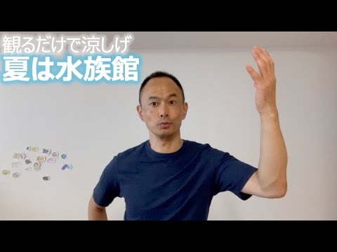 観るだけで涼しげ 夏は水族館