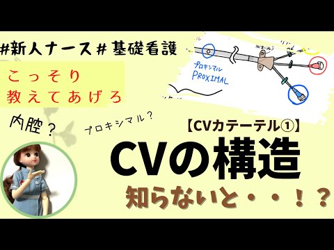 【基礎看護】CVカテーテルの構造知らないと？！＃看護師＃勉強＃新人ナース