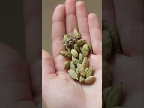 Green cardamom  हरी इलायची || #tips #spices #cardamom #herbs #health #shorts  #trending