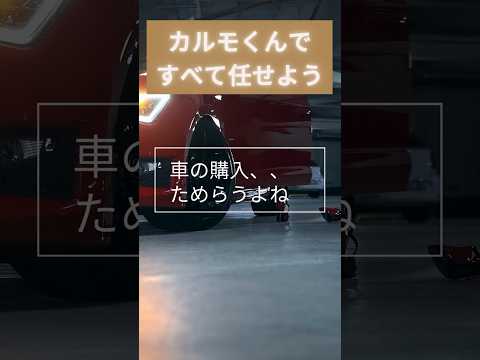 マイカーの管理はもう必要ありません。定額カルモくんでなにもかもまかせて生活を安定していきましょう！　詳細はサブスクスペースへ　https://subsc.space/kurumasabusbsc/