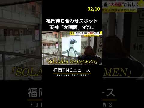 ペンギンも飛び出す！福岡市・天神の待ち合わせスポットがリニューアル 「大画面」サイズ9倍に　#shorts #福岡 #天神 #ニュース #fukuoka