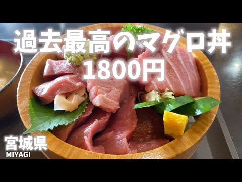 【宮城県観光】☆たばご屋☆のマグロ丼が過去最高でこの量でなんと1800円☆気仙沼漁港の近くにある「みしおね横丁」周辺を観光Miyagi Prefecture Tourism Tobacco shop