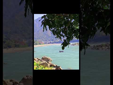 #rishikeshtravelguide #rishikeshadventure #rafting #adventureawaits #uttarakhandtourism #tapowan