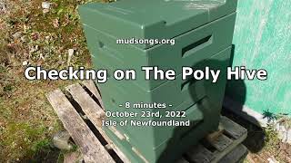 Poly Hive Check Up (October 2022)
