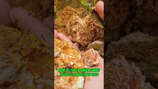 Traditional gold mining from rare termite soil worth $5,000, absolutely crazy! #goldmining #goldrush