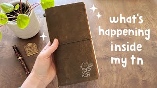 Settling Into My Traveler's Notebook