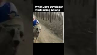 When Java Developer Starts Using Golang #programmerhumor