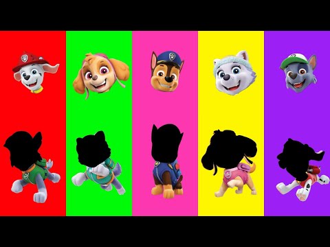 Wrong eyes | Wrong Heads | Paw Patrol Episodes | Dame tu cosita #wrongeyes #wrongheads