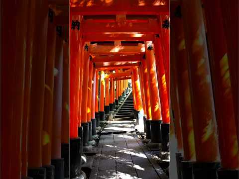 ⛩️✨ Walk Through a Thousand Gates: Kyoto’s Fushimi Inari Shrine #shorts #wondersoftheworld