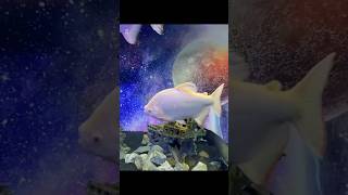 モゾワンダーシティー（UNDER WATER SPACE）アンダーウォータースペース