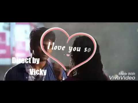 Whatsapp status