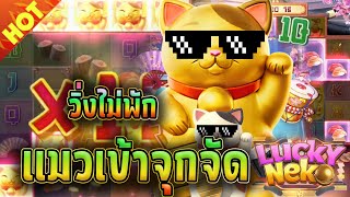 สล็อตwallet | เว็บตรง true wallet | สล็อตวอเลท