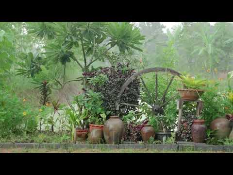 Rain Sounds + Relaxing Deep Sleep Music - Meditation Music, Relaxing Piano