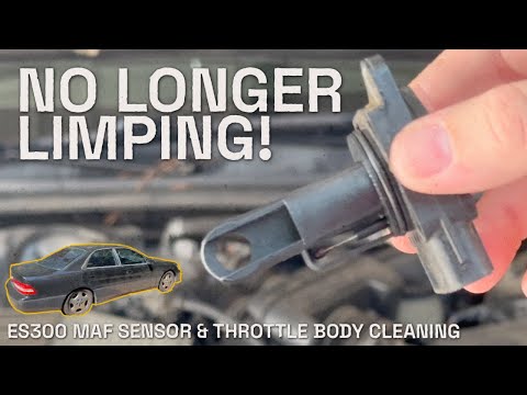 Doing THIS fixed my ES300's sluggish acceleration!