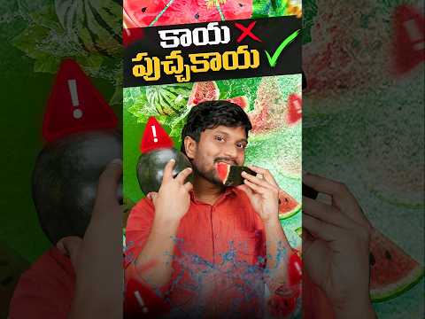 మీరూ పుచ్చకాయ తింటున్నారా!! #besttechintelugu #viralshorts #watermelon #safety