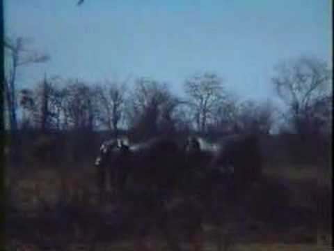 Gene and Carola Gough World Travels : Part 6