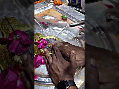 #darelmhendi#mahadev #mahal #mahadev #devokedevmahadev #trending #viral #viralshort 🚩🚩🚩🚩🚩