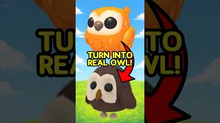 How To Make An OWL In Adopt Me? #shorts #adoptme #adoptmeshorts #roblox
