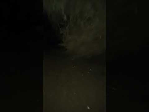 El tabo - tabito noche #eltabo #nature #playa #tabito