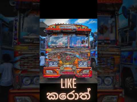 ඔයාගේ බස් එක ඔයා💘❤‍ | #automobile #srilanka #dj #bus #love #buses #driver #dhamrajini #travel #pisso