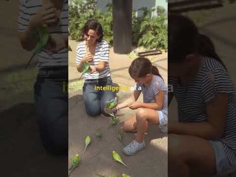 5 Unknown & Fascinating Parrot Facts That Will Blow Your Mind!
