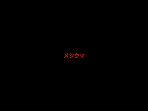 2023年12月29日