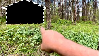 Searching Forest for Treasures Lost Long ago! PA Relic Hunters Metal Detecting.