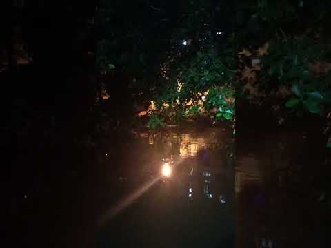 light & water dancing - scenes from Kolkata