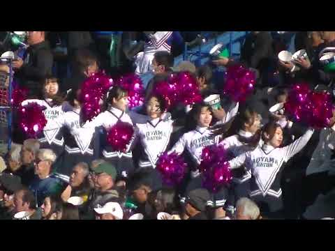 明治神宮大会決勝 青山学院大学チアガール 2024年11月25日 神宮球場