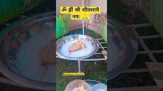 Jai Sheetla Mata 🙏 #sheetlamatabhajan #sheetla_mata_gatha #viral #sheetla_mata #sheetla #trending