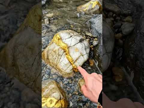 Gold Quartz Wait End🪙😮  #golddiscovery #treasure#goldhunting #gold #goldrush #goldnugget #goldmining
