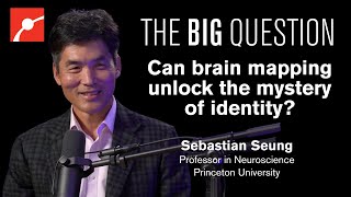Brain Mapping Reveals the Source of Your Personality