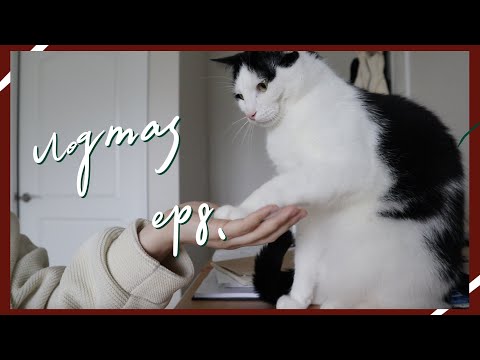 VLOGMAS ep8. ❄️ 喜歡在圖書館還是咖啡廳讀書/工作？Work/Study in library or coffee shop?