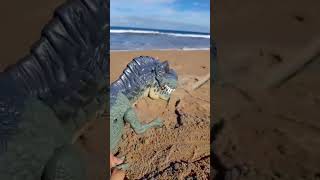 Dino  by the Shore! 🦖🏖️ 🌅 #DinoAdventures #BeachWalk #ToyDinosaur  #SummerFun #DinoOnTheShore