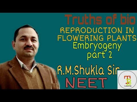 Embryogeny (Embryogenesis) part 2: Monocot embryo (NEET), By:R.M.Shukla Sir