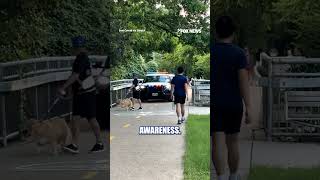 WATCH: Police officer couldn't resist poking fun at an oblivious dog walker