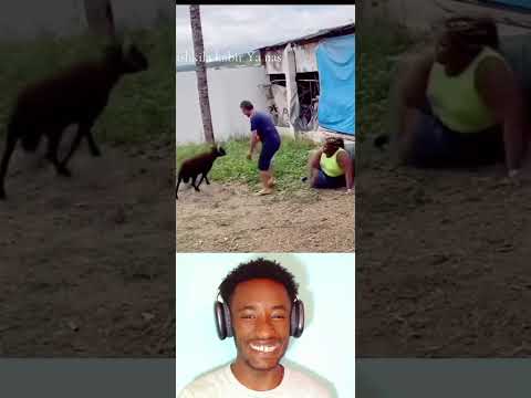 #shortsviral #viralvideo #subscribe #gaze...21