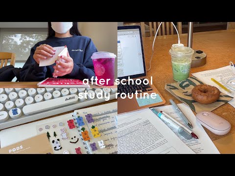 【study vlog】📝大学生の効率の良い勉強方法 | 放課後勉強ルーティン| my after school study routine⌨️