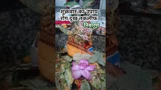 शुक्रवार का उपाय दुख तकलीफ हो तो? #pandit_pradeep_ji_mishra #upay #katha #shiv #shorts @sairadha #yt