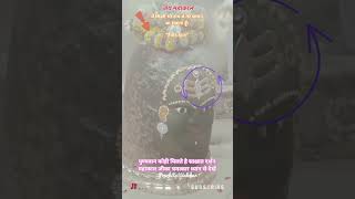 महाकाल जी के साक्षात दर्शन बोलो महाकाल की जय, एकादशी महापर्व #mahadev #bholenath #matarani #believe