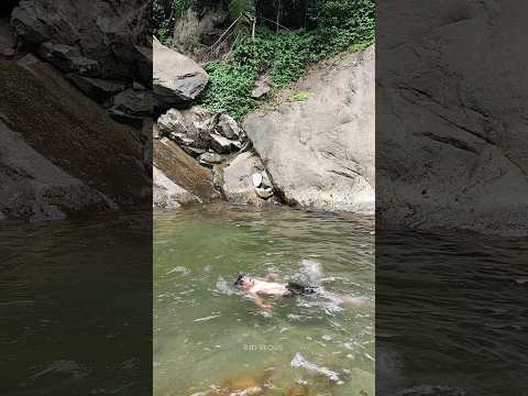 Thusharagiri waterfalls 📍#shortvideo #malayalam