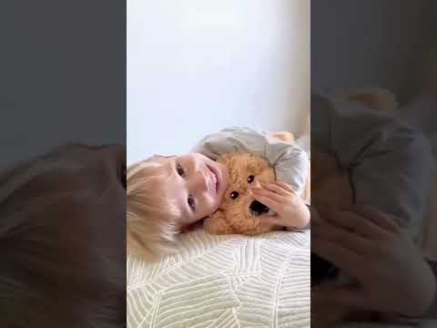 CHARLIE THE WEIGHTED PUPPY DOG