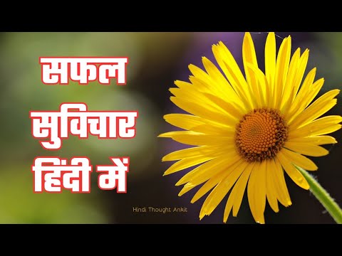 सफल सुविचार || Aaj ka Suvichar ||  Suvichar Status || Vachan || Hindi Thought || Vichar